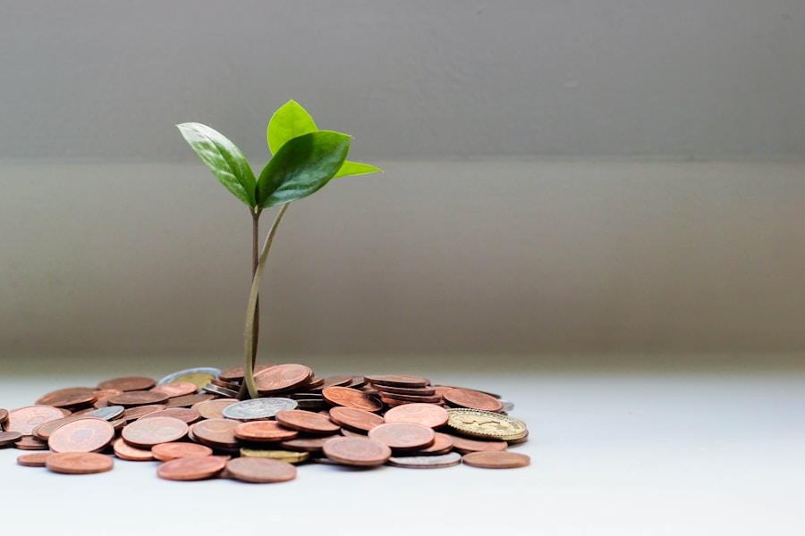 SEED Funding